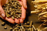 free Pound Green biomass boiler quotes